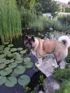 att._sthjqXuZkIexmiVVkrVCCJZNWKnkLuUhNa8f3c6Jek